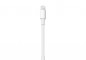 Adapter chuyển đổi Lightning sang cổng HDMI Apple